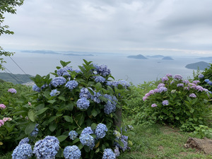 紫雲出山1.JPG
